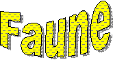 Faune